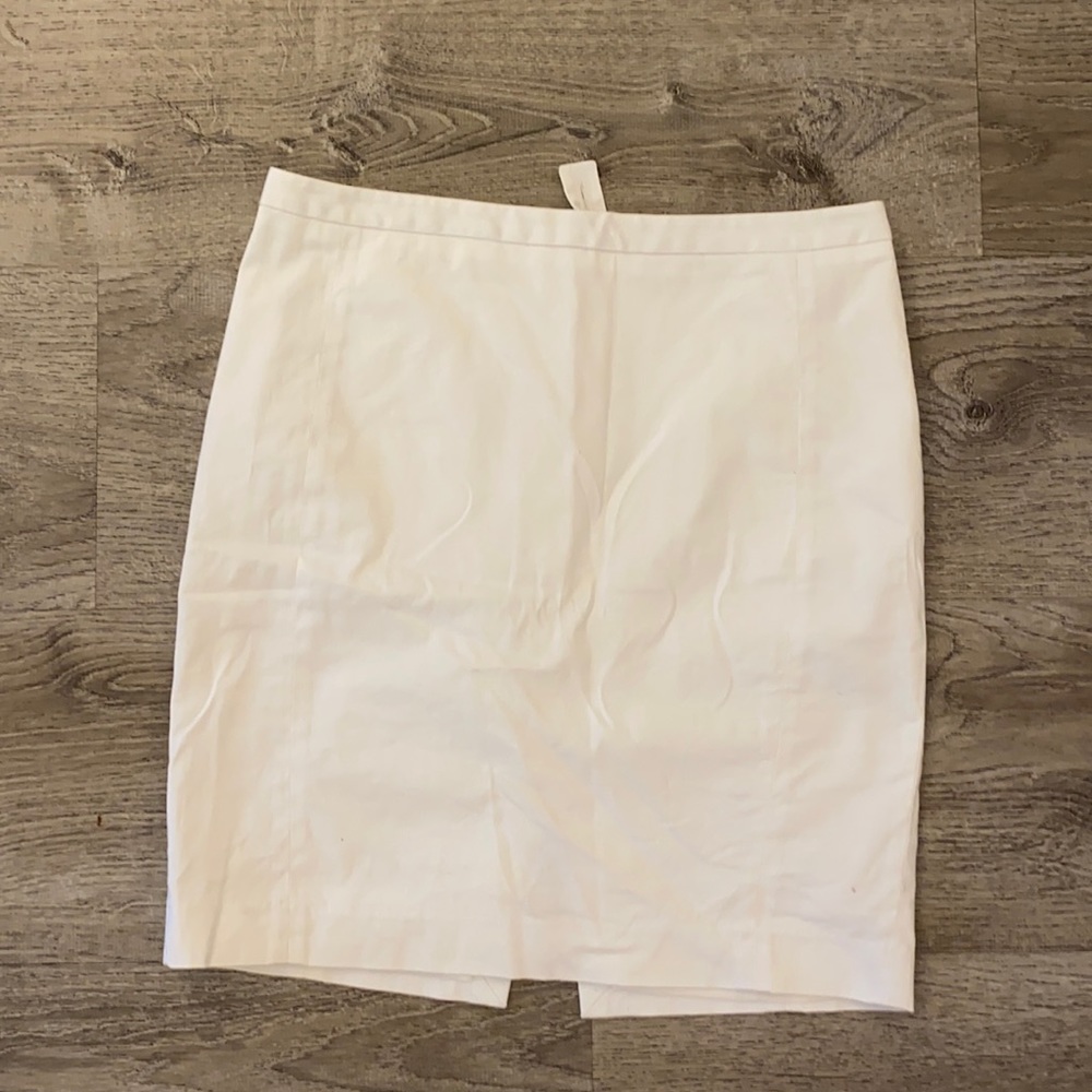 Express Pencil Skirt